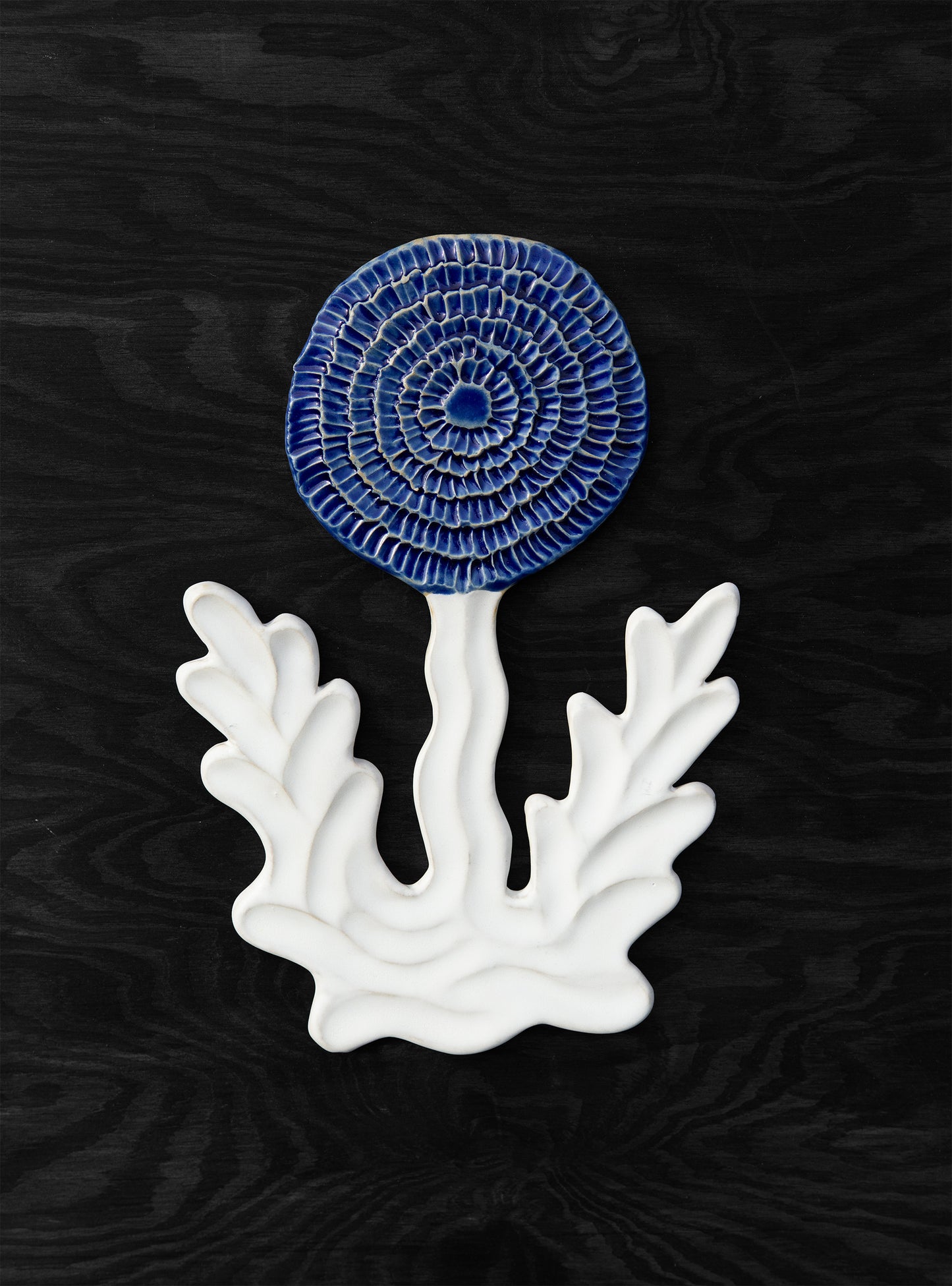 Large Dandelion Blue White