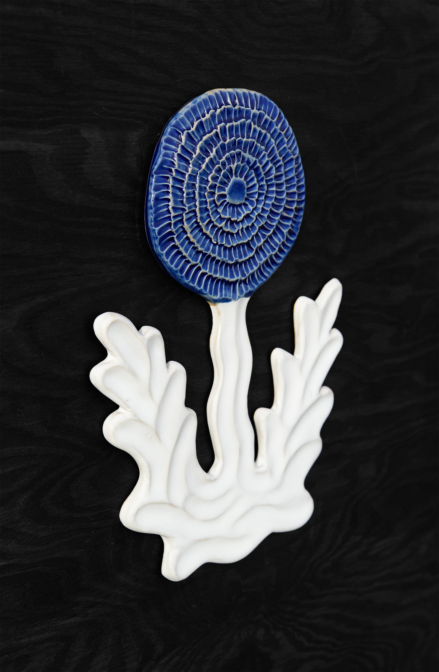 Large Dandelion Blue White