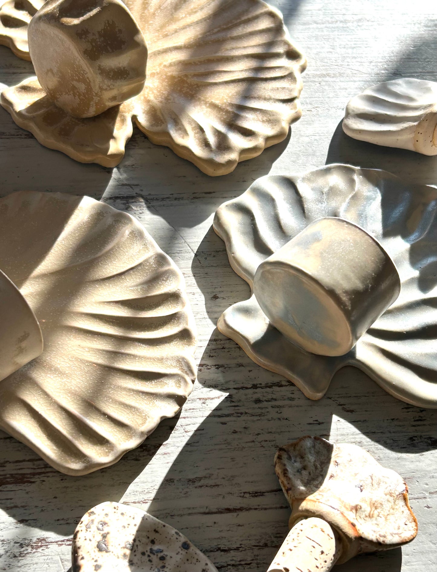 Shell Candle Holder White Frost