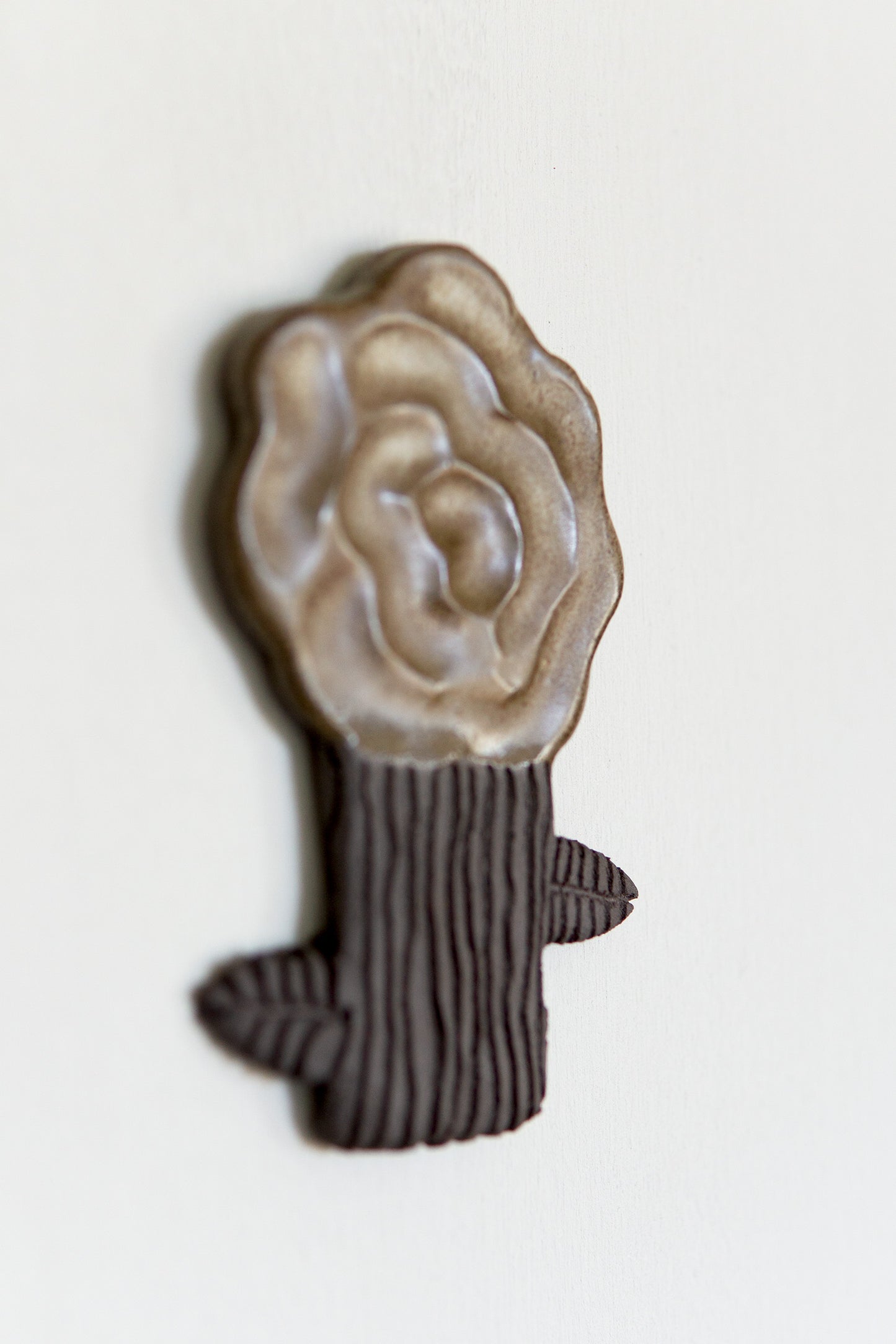 Small Rose Brown