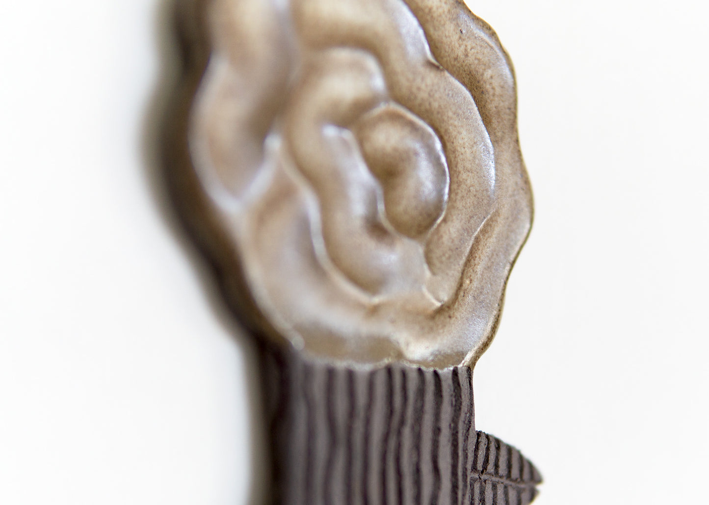 Small Rose Brown