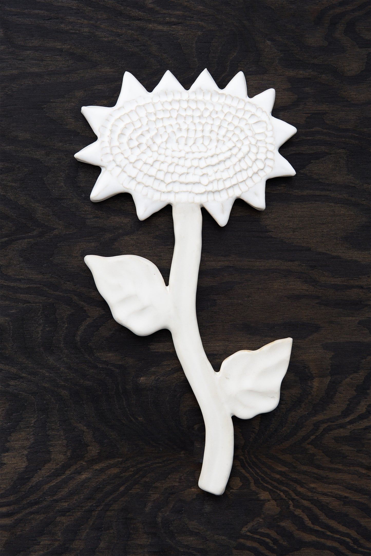 Sunflower White