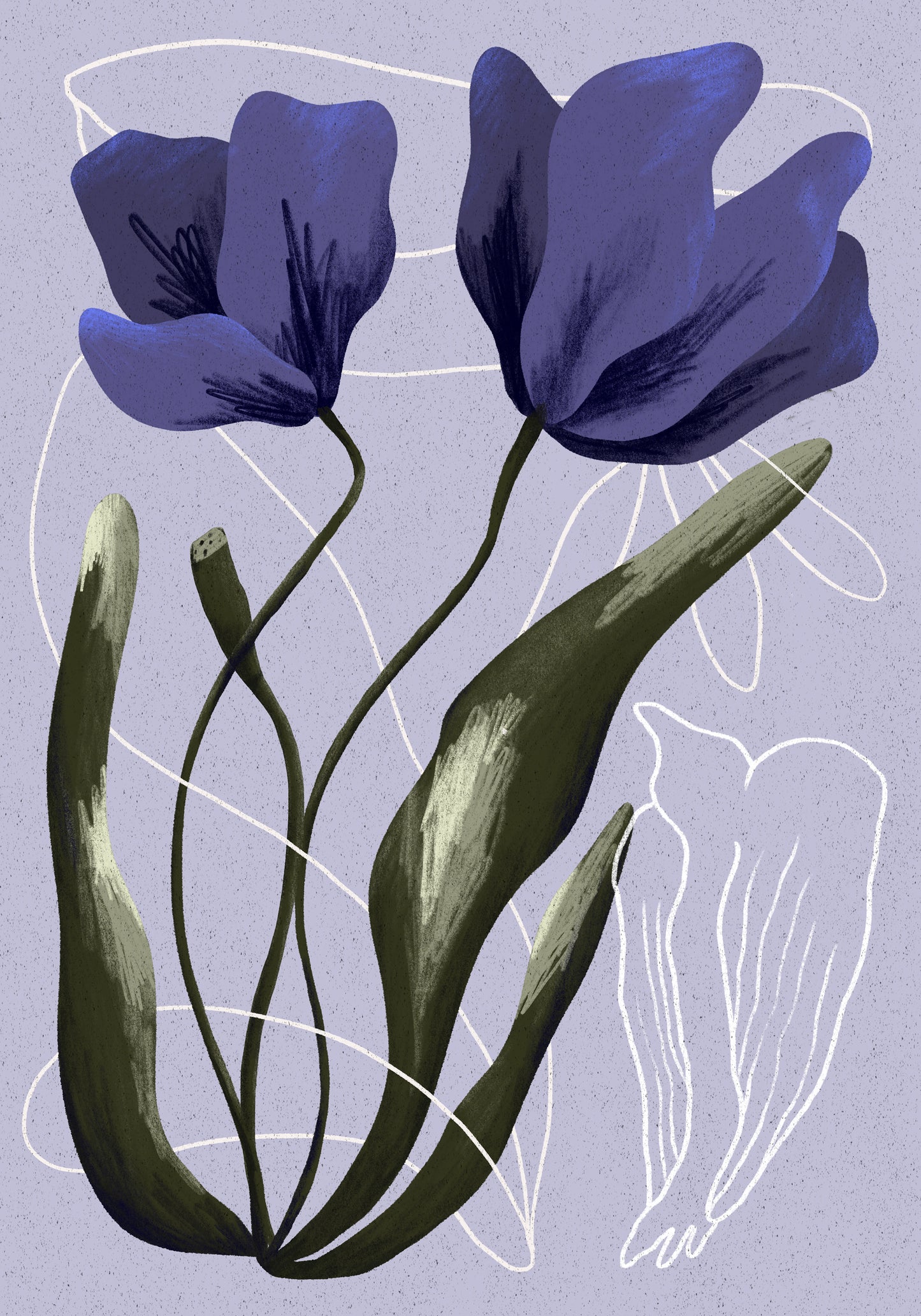 Poppies & Dove - Print