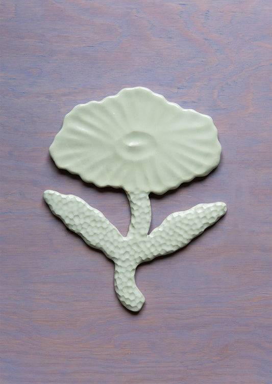 Flower White