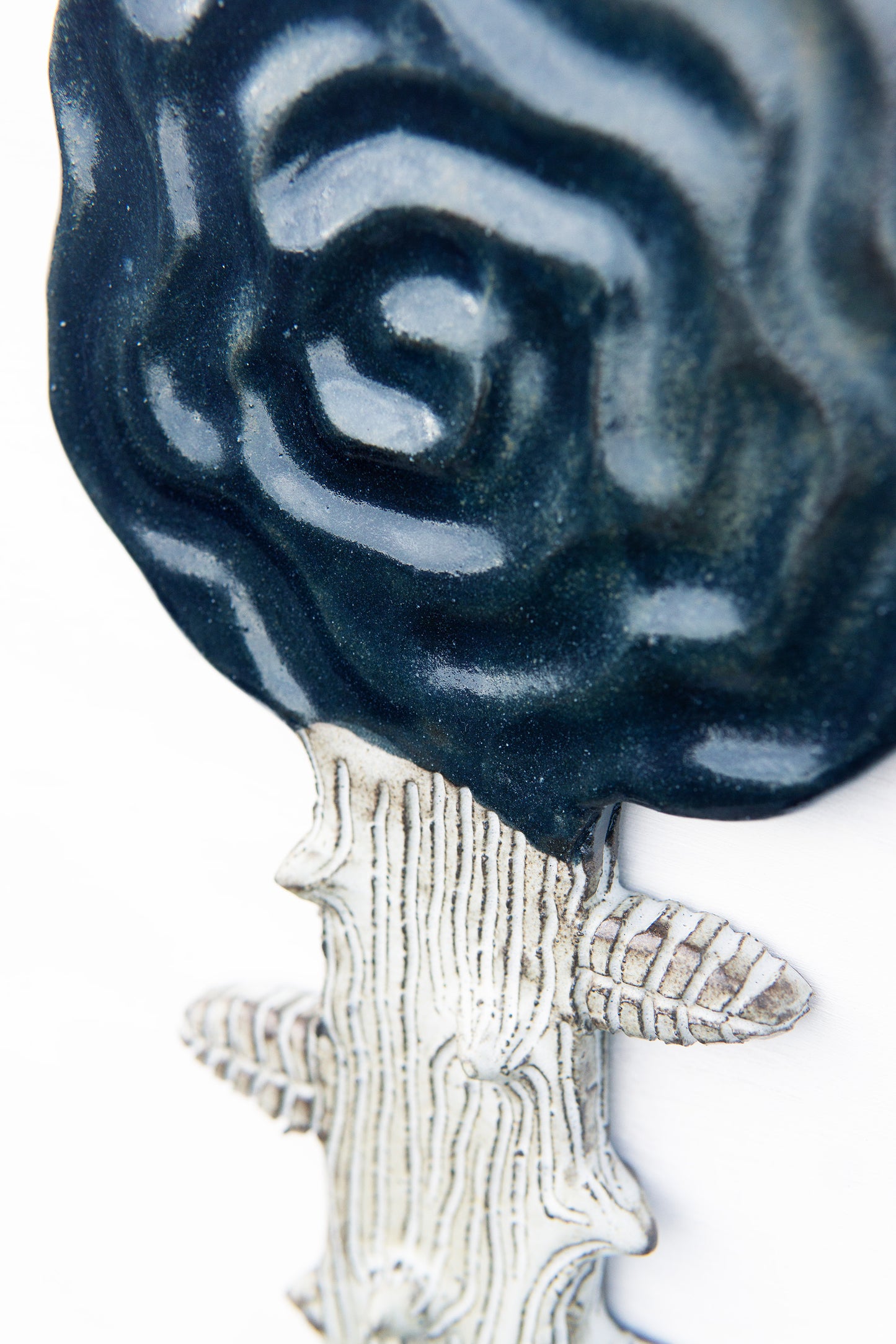 Rose White Midnight Blue