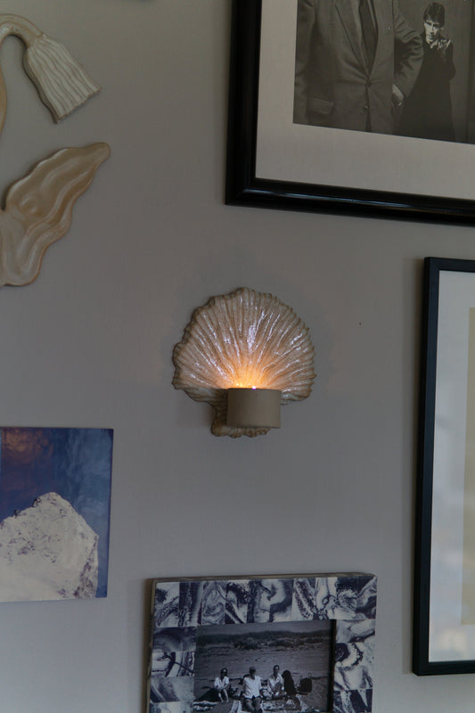 Shell Candle Holder Frost