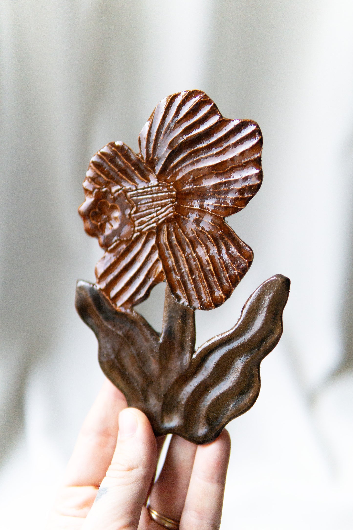 Small Daffodil Brown Red