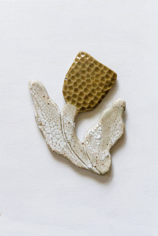 Small Tulip Honey White Mudcrack