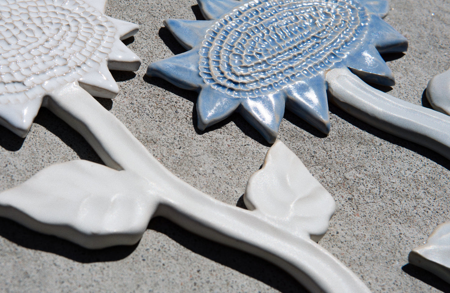 Sunflower White