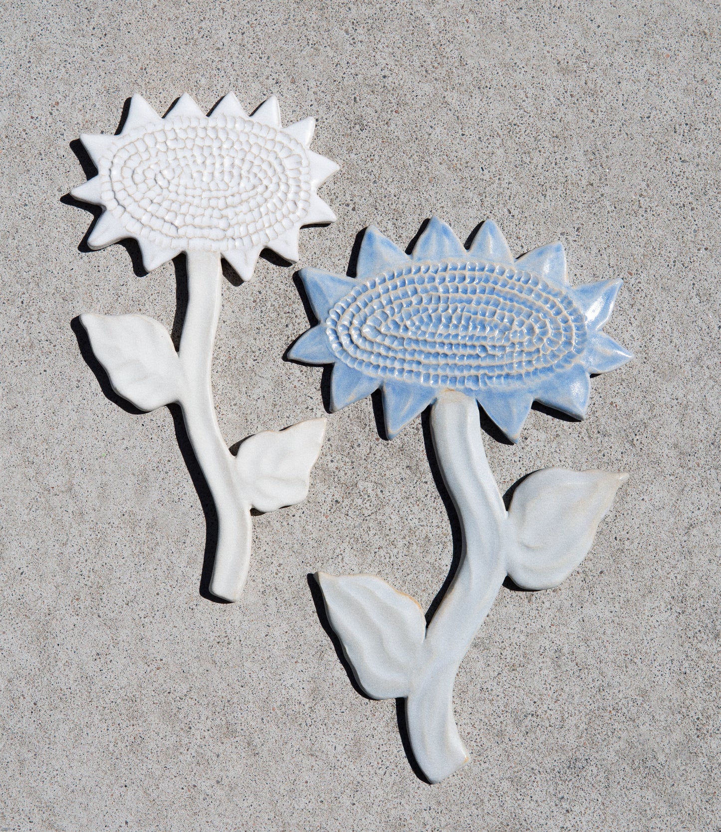Sunflower White