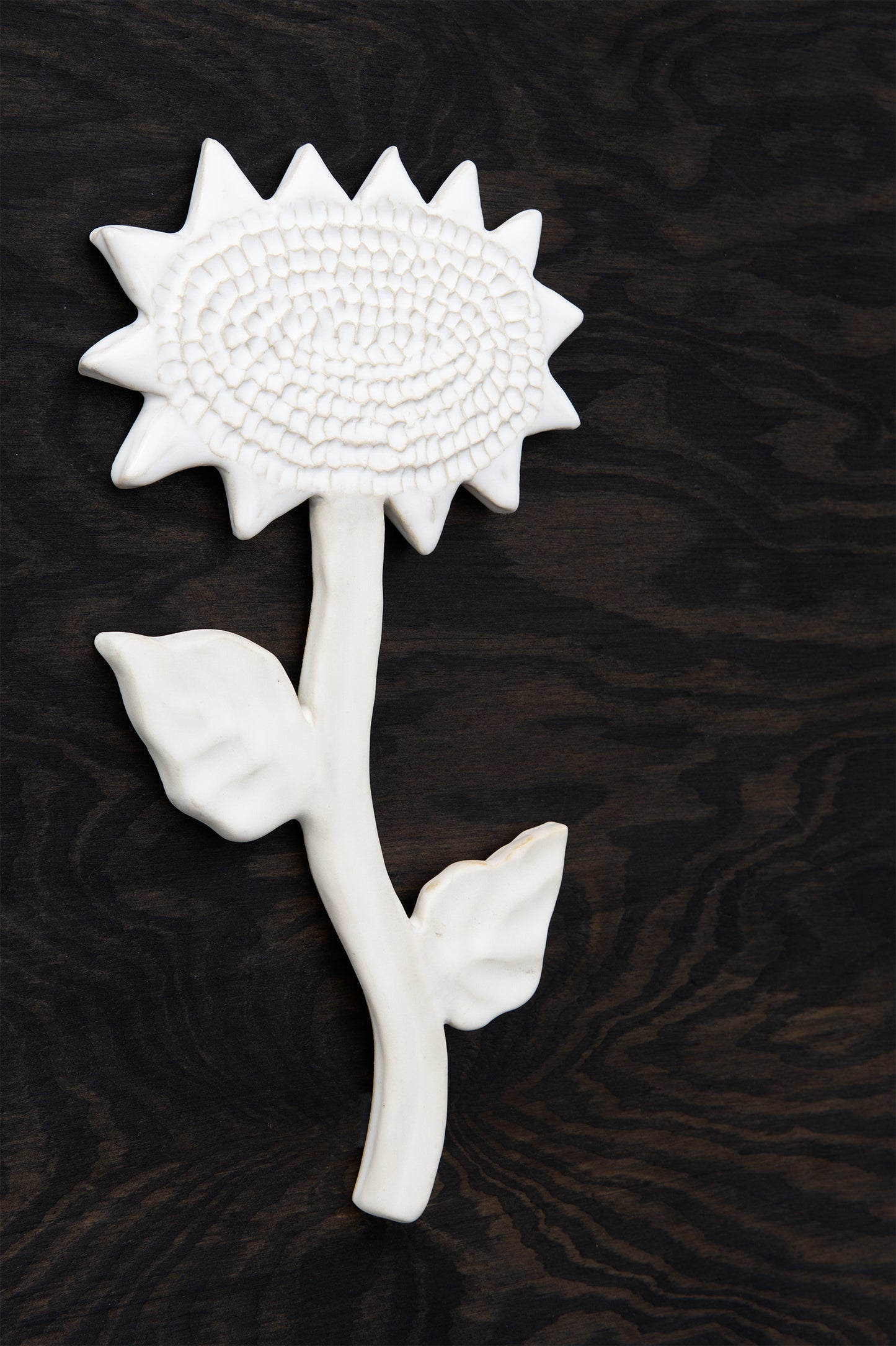 Sunflower White